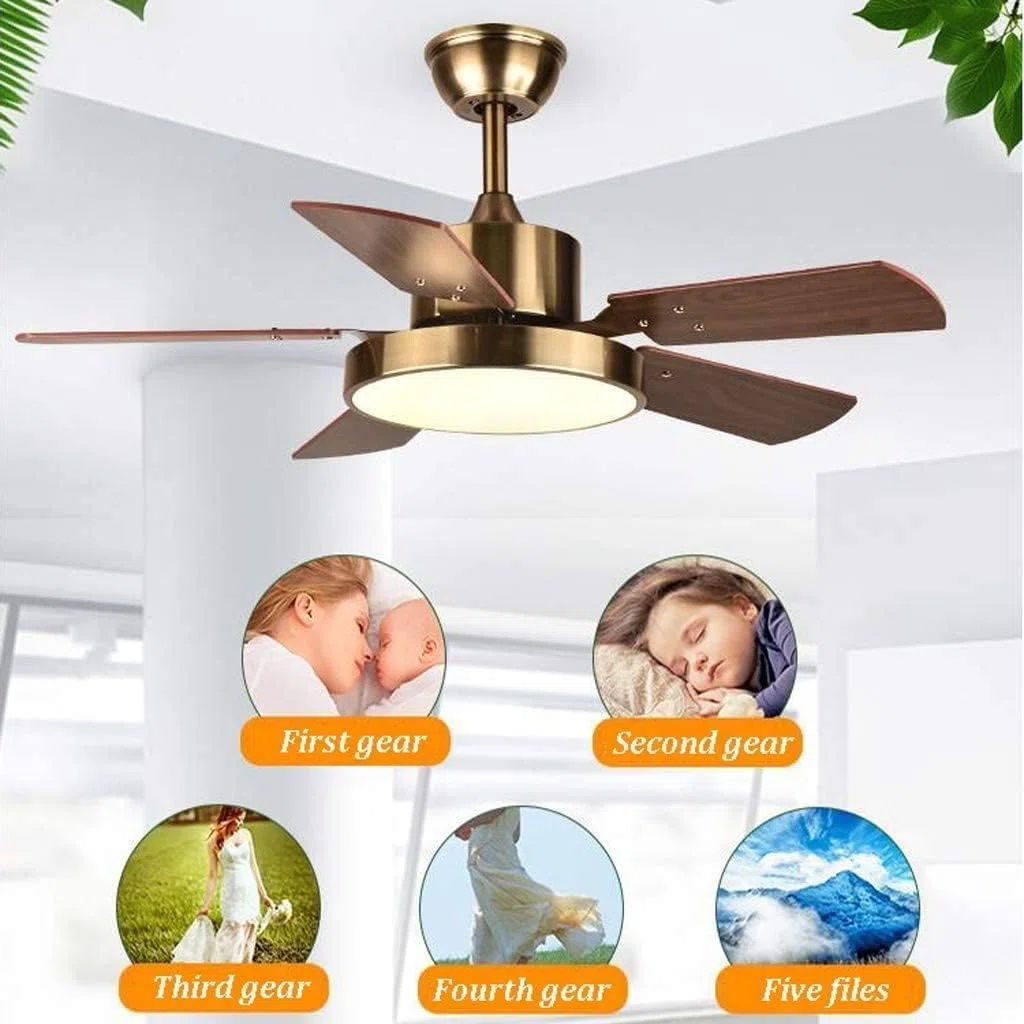 Ventilador De Techo para Dormitorio Salón Ventilador De Techo Retro Nórdico, Lámpara LED Moderna para Oficina, Dormitorio, Sala Estar, Metal(56 Inch)